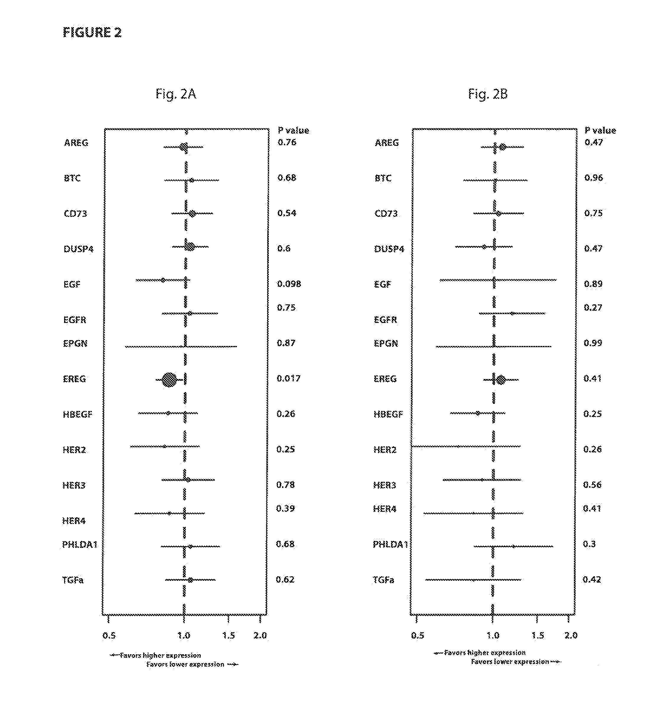 Methods of predicting responsiveness of a cancer to an agent and methods of determining a prognosis for a cancer patient