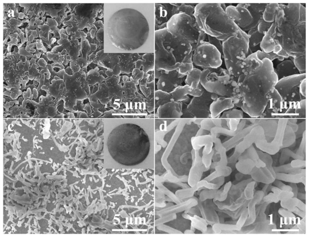 Electrolyte capable of being used for lithium metal secondary battery and application of electrolyte