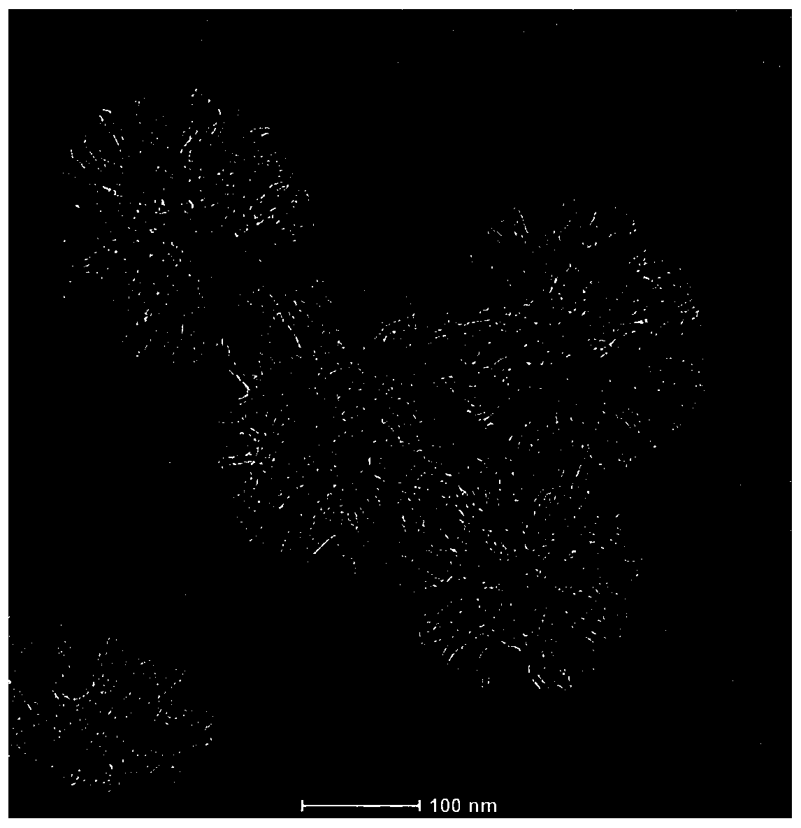 Carbon dot-based fluorescent silicon dioxide nanosphere and preparation method thereof