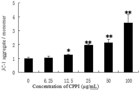 Preparation method and application of Codonopsis polysaccharide iron complex