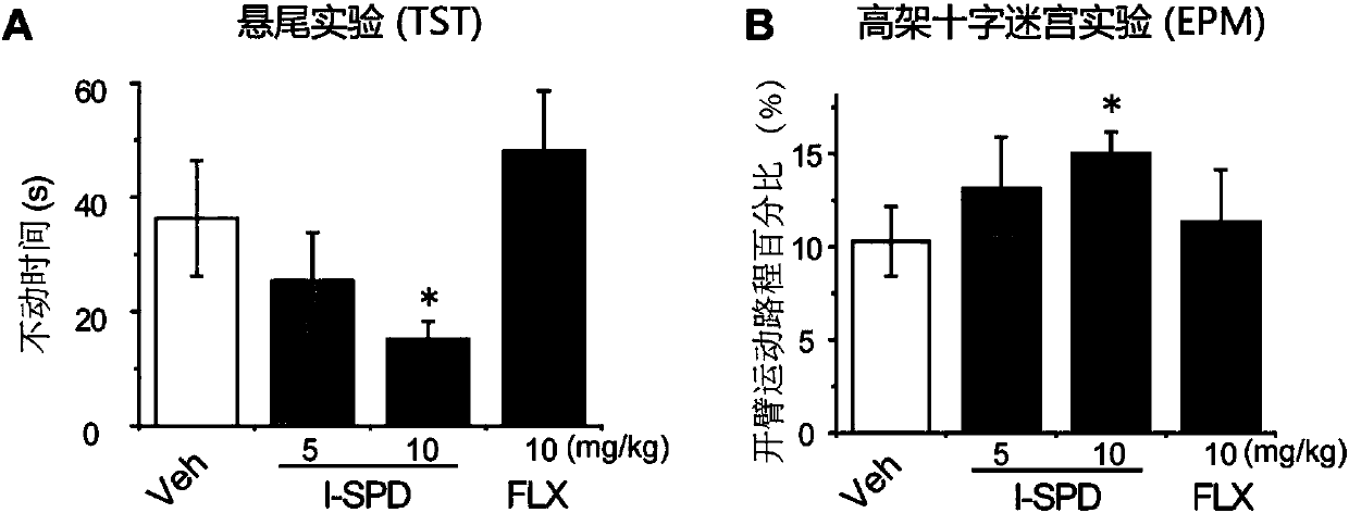 Method for obtaining agitated depression animal model and application thereof