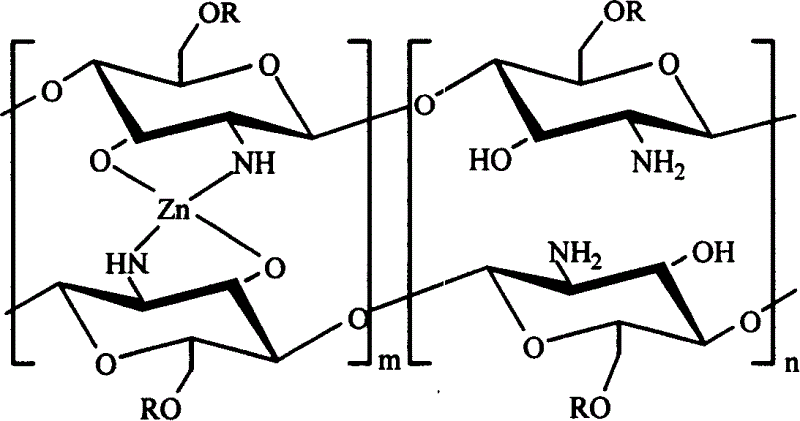 Carboxymethyl chitosan potassium zinc bismuth and preparation process and application thereof