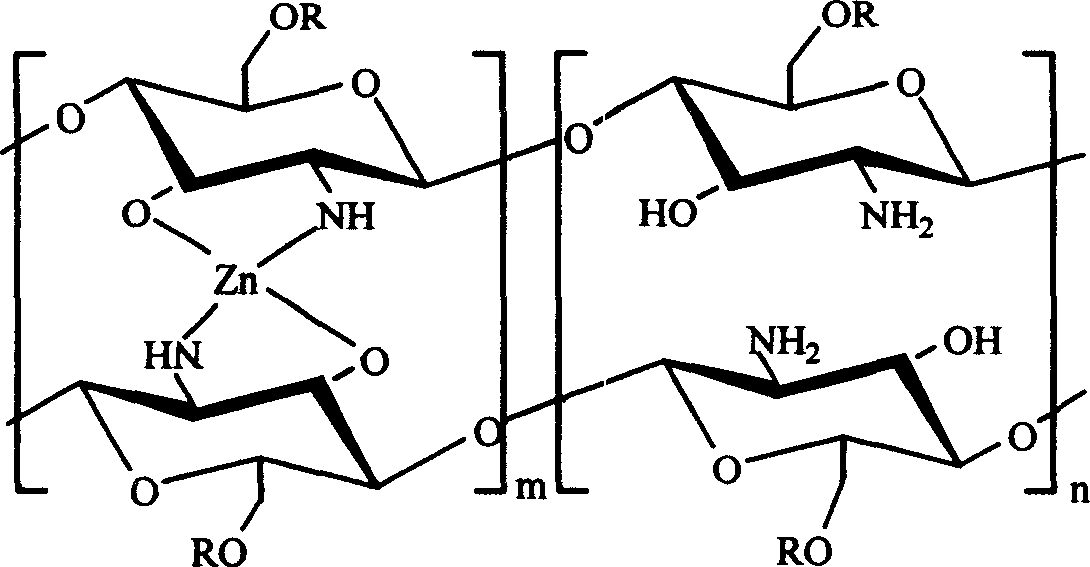 Carboxymethyl chitosan potassium zinc bismuth and preparation process and application thereof