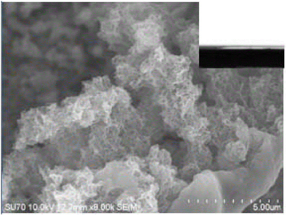 Preparation method for polypyrrole-poly-dopamine composite coating