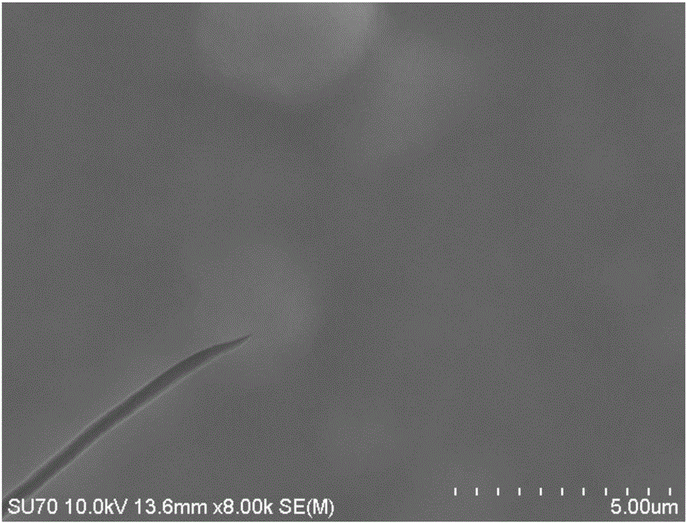 Preparation method for polypyrrole-poly-dopamine composite coating