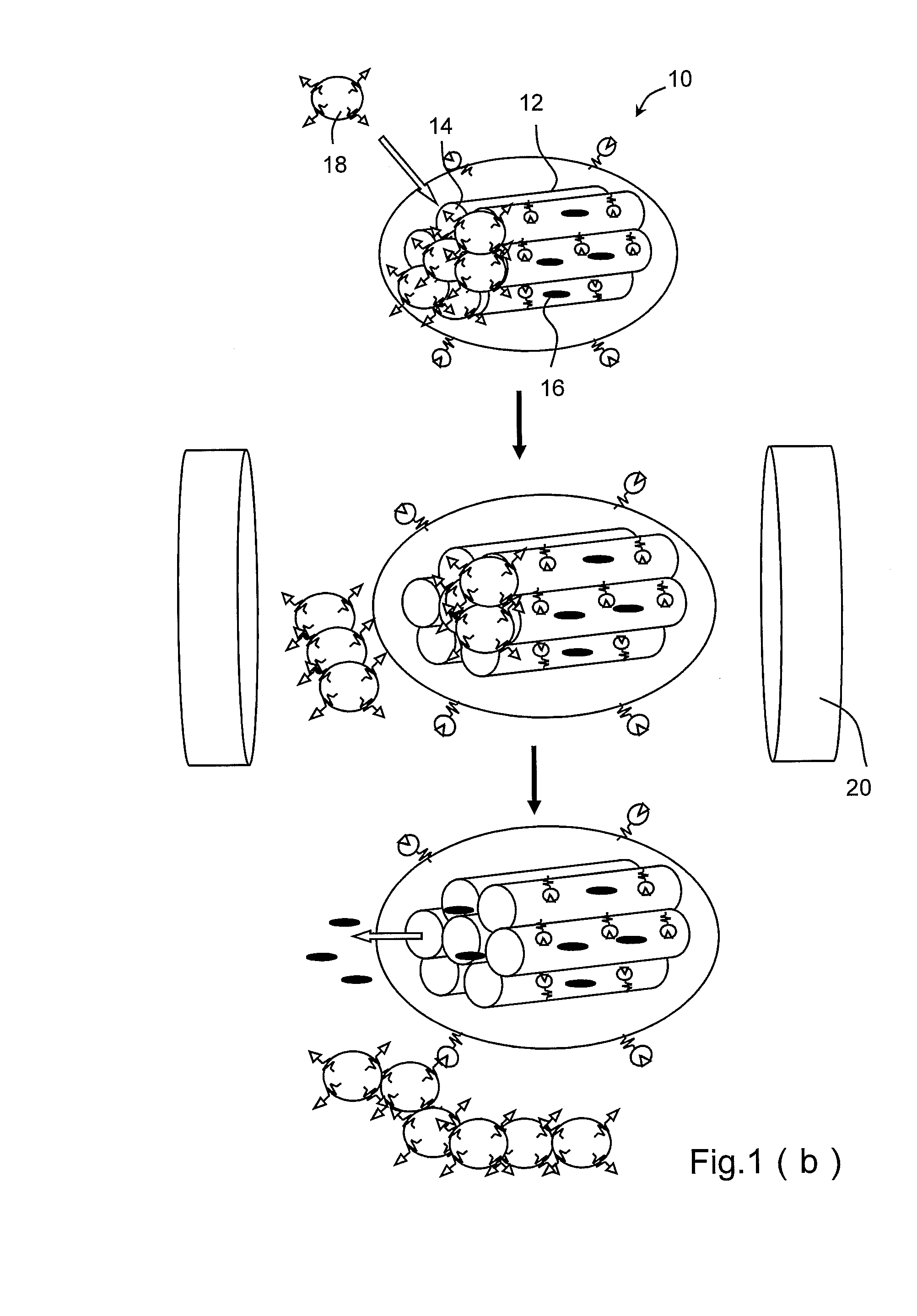 Magnetically-controllable nanometric porous drug carrier