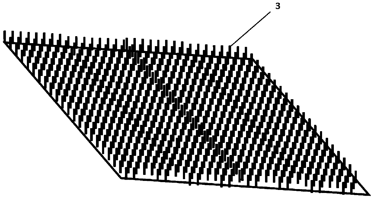 Device for collecting parasites in large yellow croaker culture pond and method for eliminating them