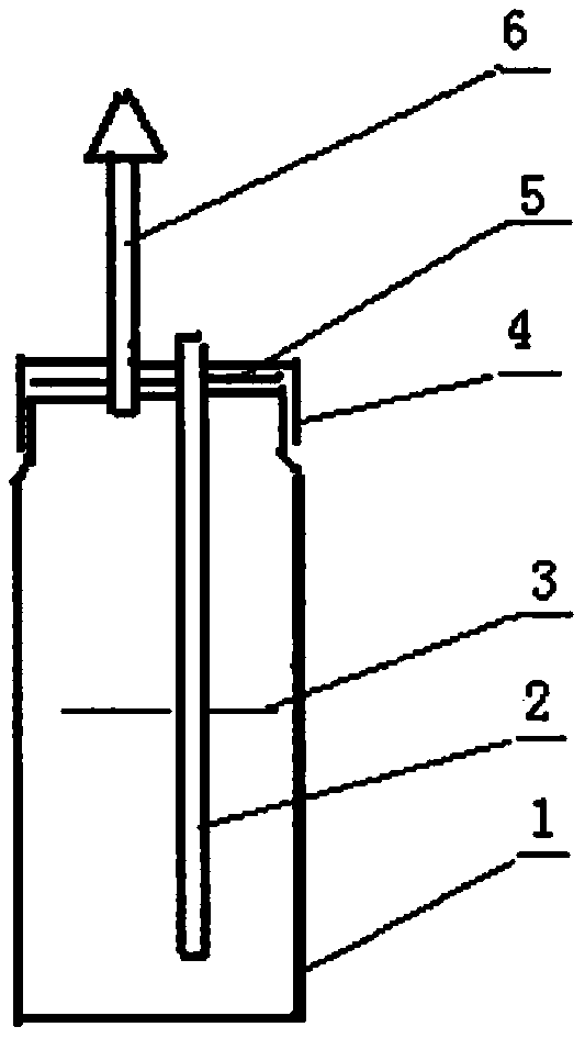 Influenza pneumonia disinfecting bottle and disinfectant