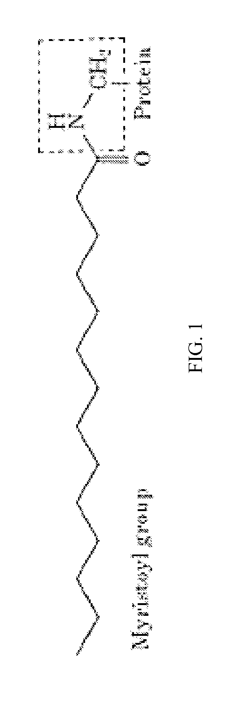 Myristoylated leptin-related peptides and uses thereof