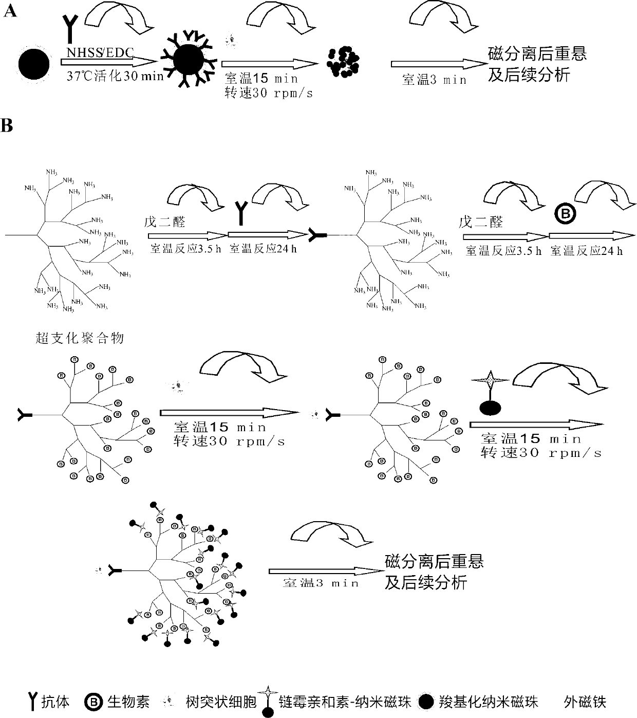 Quick separation method of dendritic cells