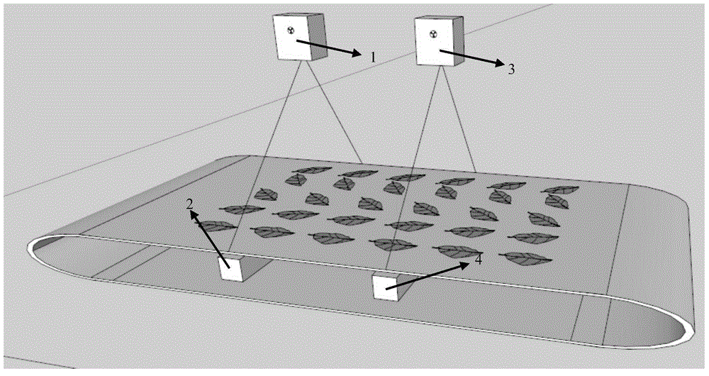 Tobacco stem and tobacco leaf precise recognition method and system based on dual-energy induction