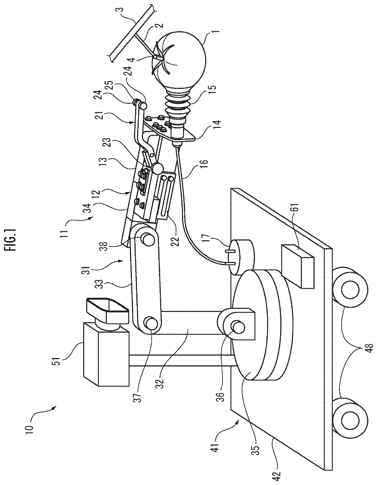 Fruit and vegetable harvesting device