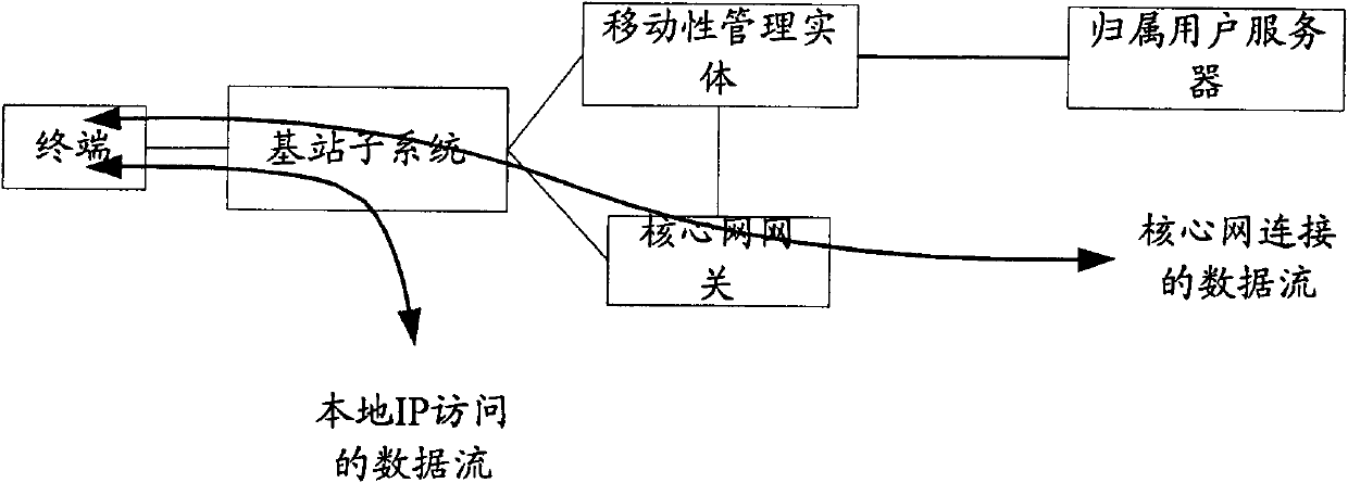 Local IP access method and system