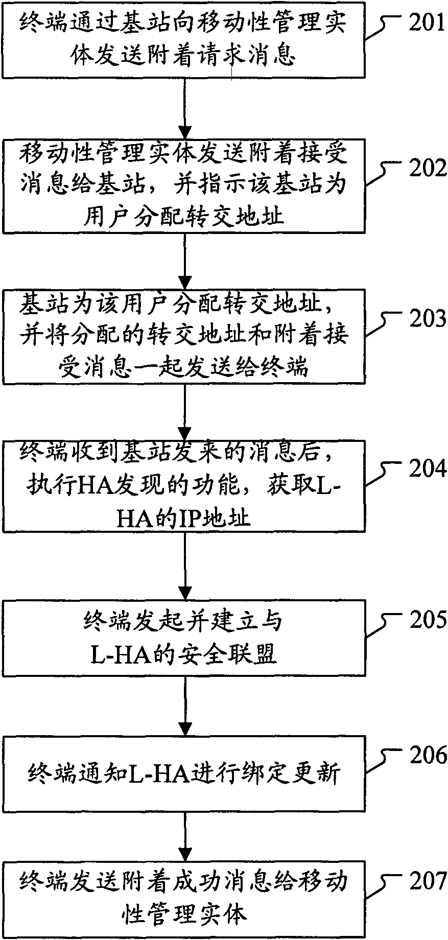 Local IP access method and system