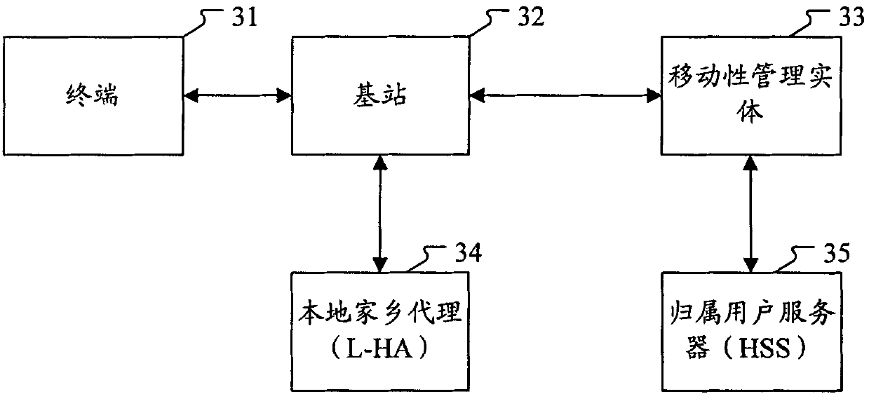 Local IP access method and system