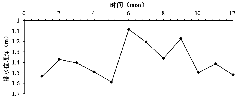 Calculation method for quickly determining phreatic water level fluctuation characteristics