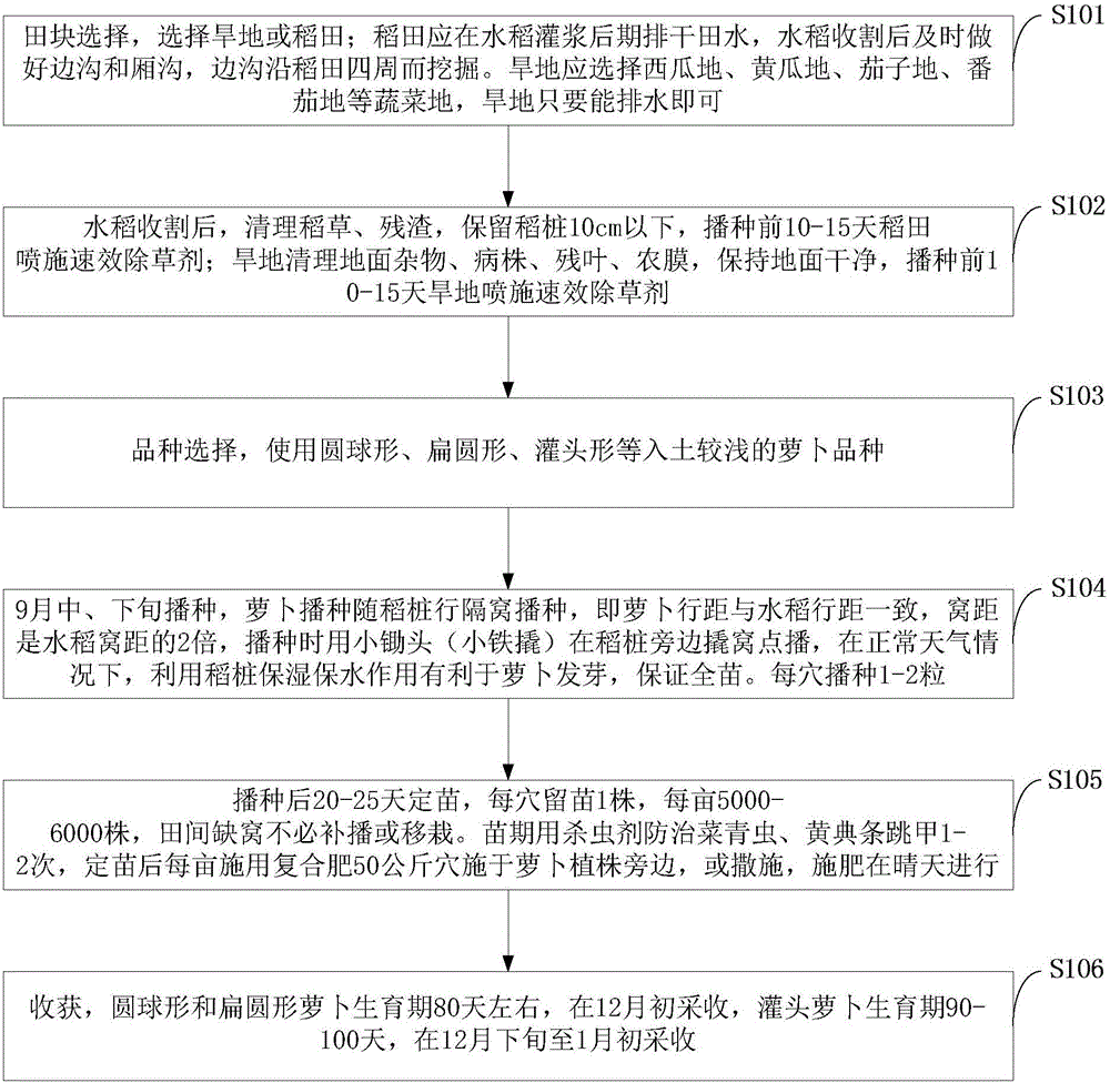 Radish no-tillage cultivation method