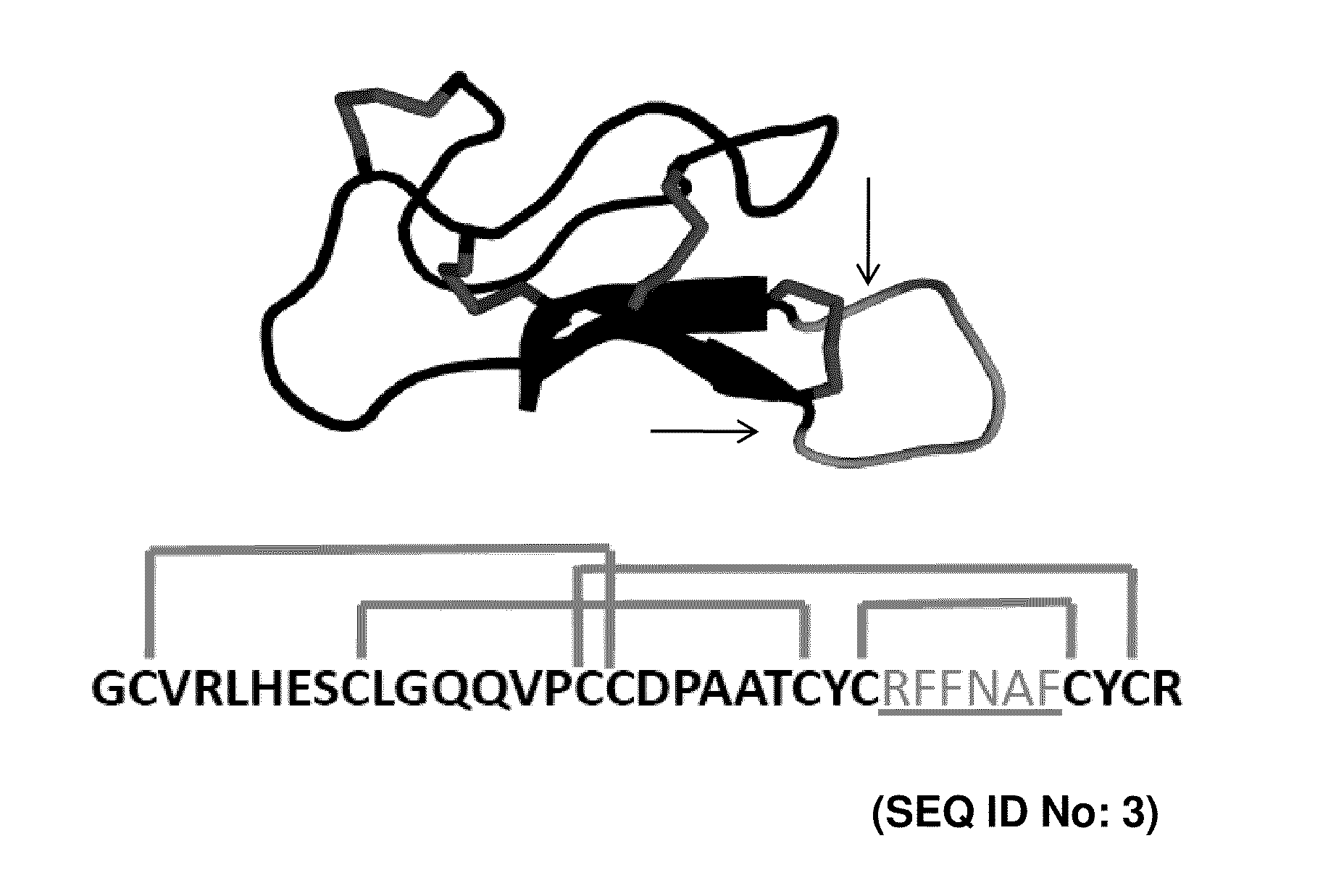 CYSTINE KNOT PEPTIDES BINDING TO ALPHA IIb BETA 3 INTEGRINS AND METHODS OF USE