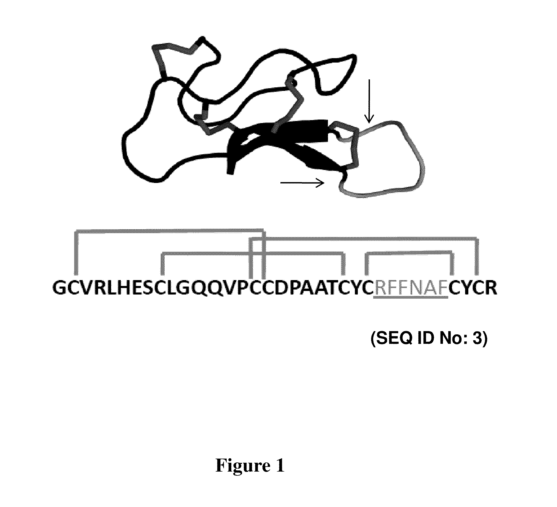 CYSTINE KNOT PEPTIDES BINDING TO ALPHA IIb BETA 3 INTEGRINS AND METHODS OF USE