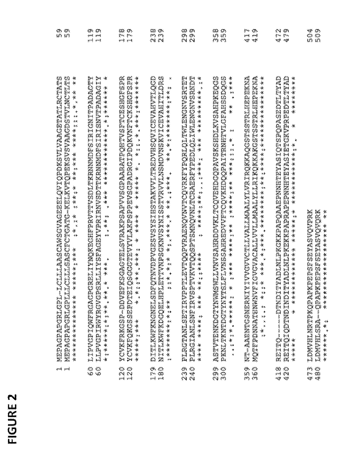 Anti-SIRP-Alpha Antibodies and Methods of Use Thereof