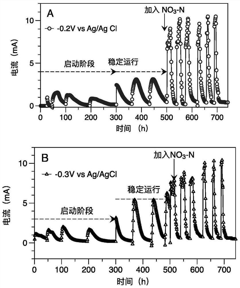 A method of using a bioelectrochemical system to enhance denitrification of sewage and simultaneously generate electricity