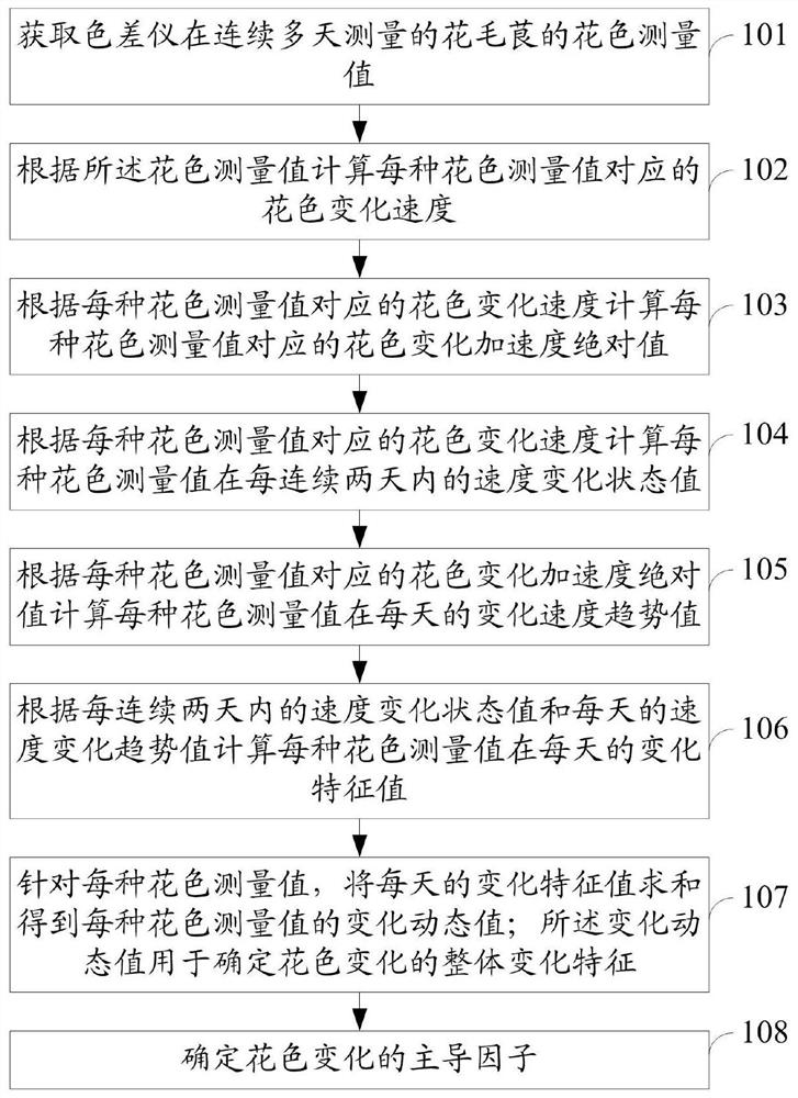 A method and system for determining the color change characteristics of Ranunculus ranunculus