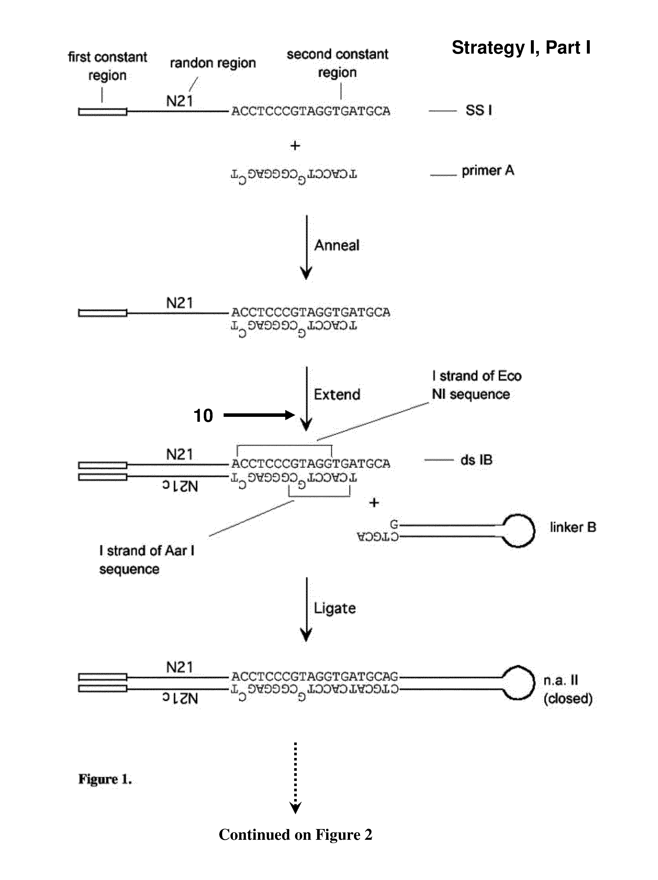 Random RNA libraries, methods of generating same, and screening methods utilizing same