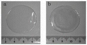 Preparation method of cellulose nanocrystal iridescent anti-counterfeiting mark