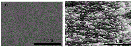 Preparation method of cellulose nanocrystal iridescent anti-counterfeiting mark