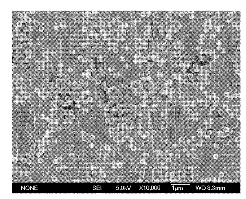 Fluorescent latex particles and preparation method thereof