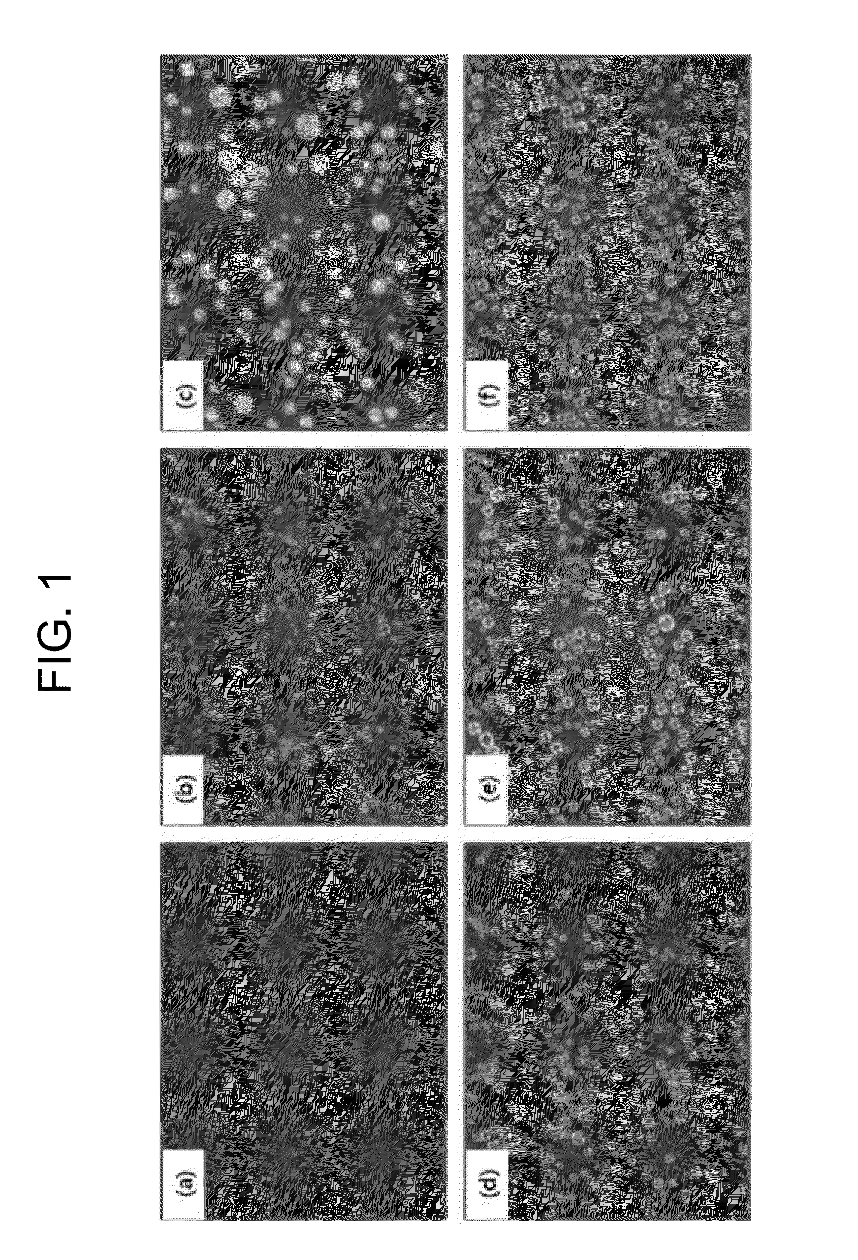 Method for preparing multilayer lamellar liquid crystal emulsion including intercellular lipids