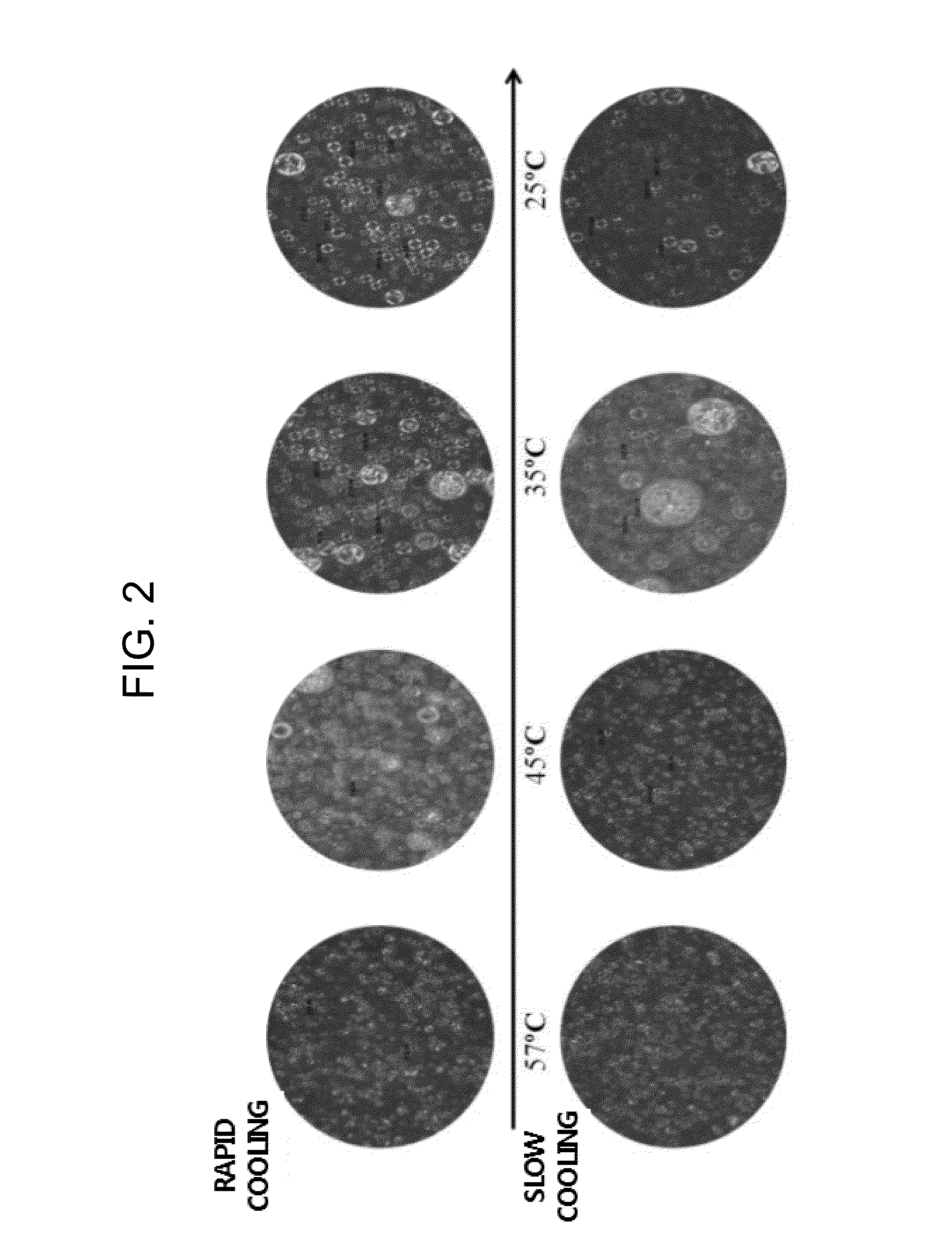 Method for preparing multilayer lamellar liquid crystal emulsion including intercellular lipids