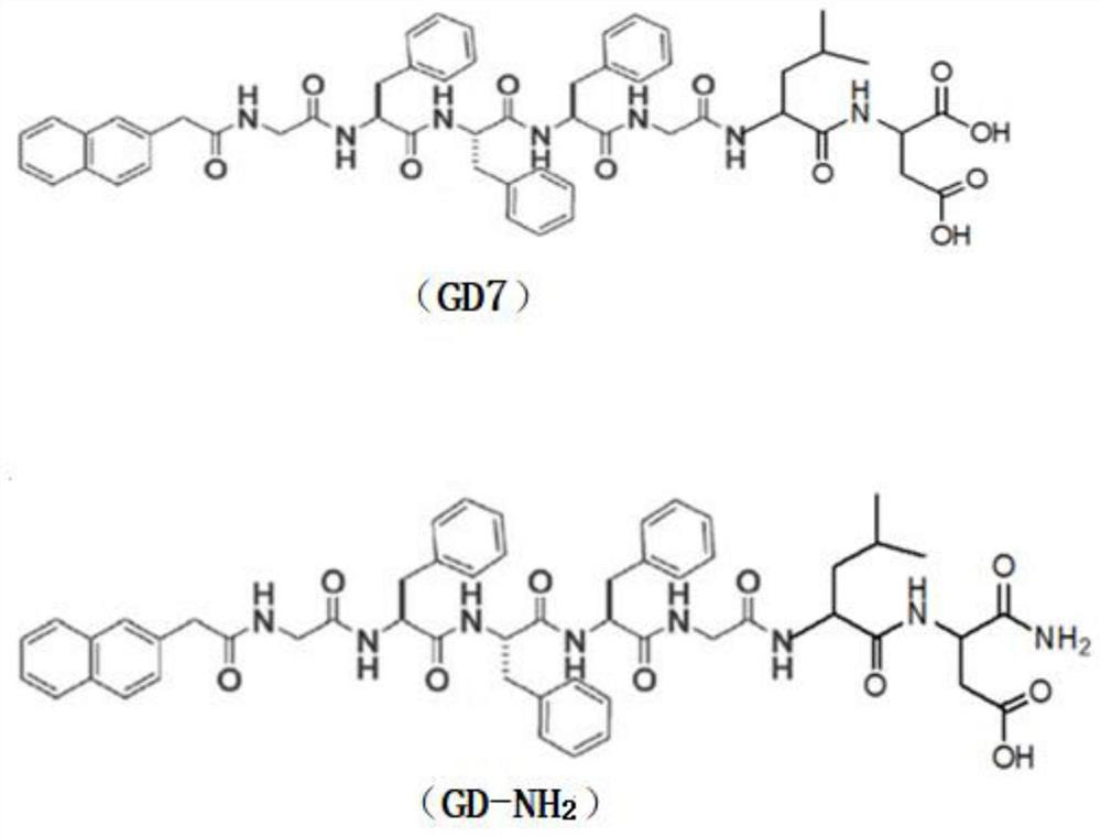 Polypeptide hydrogel loaded with small interfering RNA as well as preparation method and application of polypeptide hydrogel