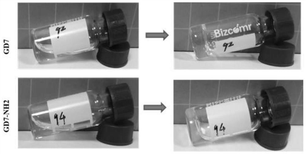 Polypeptide hydrogel loaded with small interfering RNA as well as preparation method and application of polypeptide hydrogel