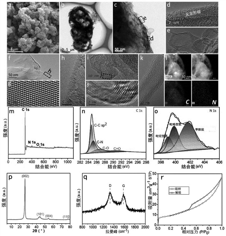 Preparation method of bionic carbon negative electrode material used as potassium ion battery negative electrode, and product