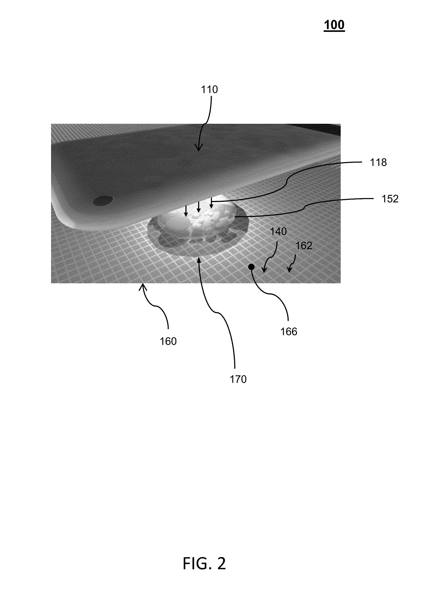 Methods for Rapid Distinction between Debris and Growing Cells