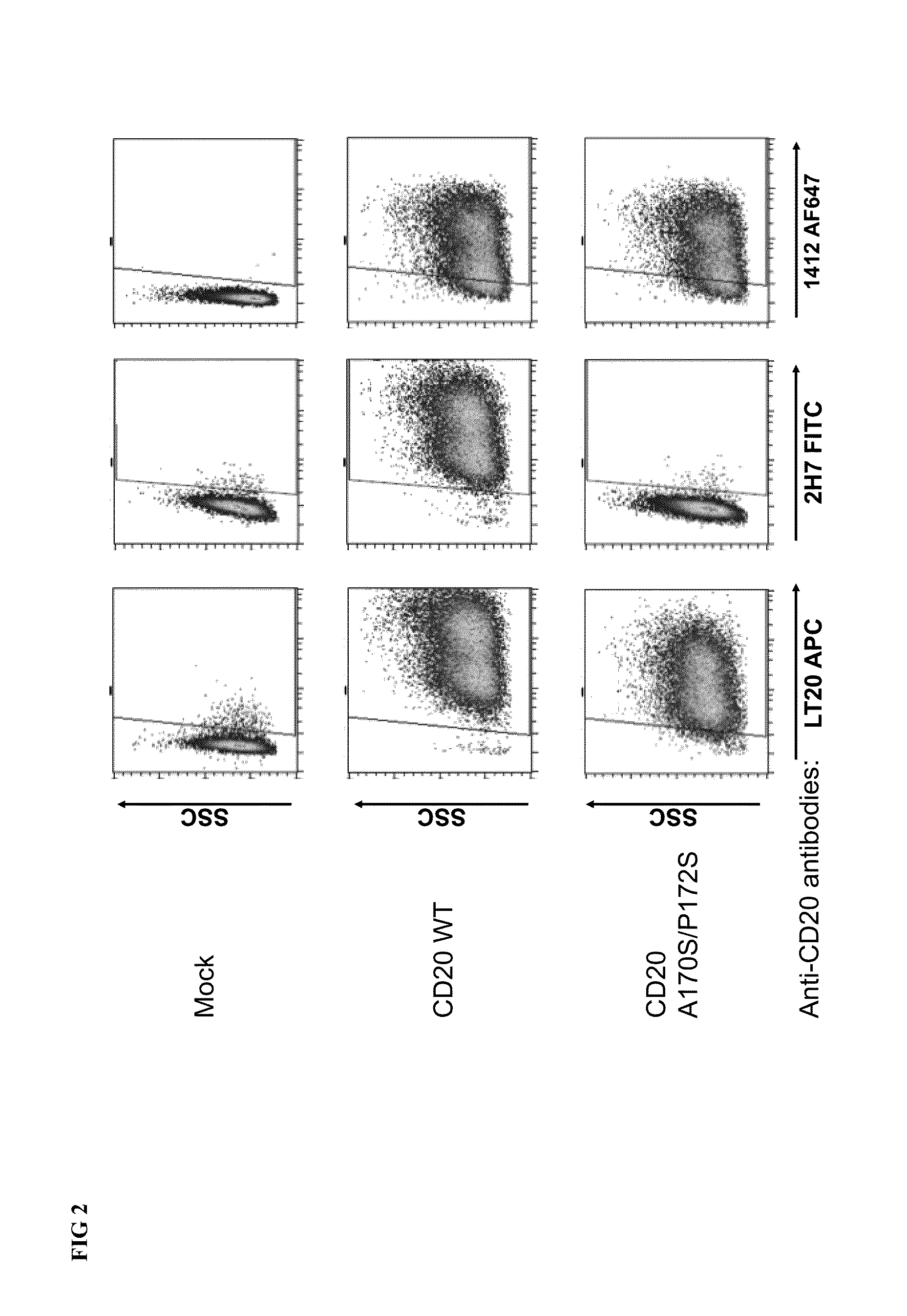 Combination immunotherapy of antigen-recognizing receptors and hematopoietic cells for the treatment of diseases