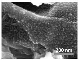 Polyaniline/graphene oxide nanofiber composite material, and preparation method and application of composite material