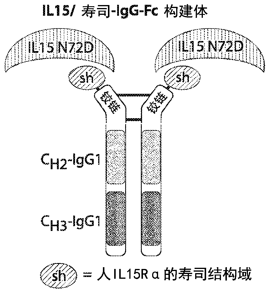 Methods and compositions for promoting immune cell function