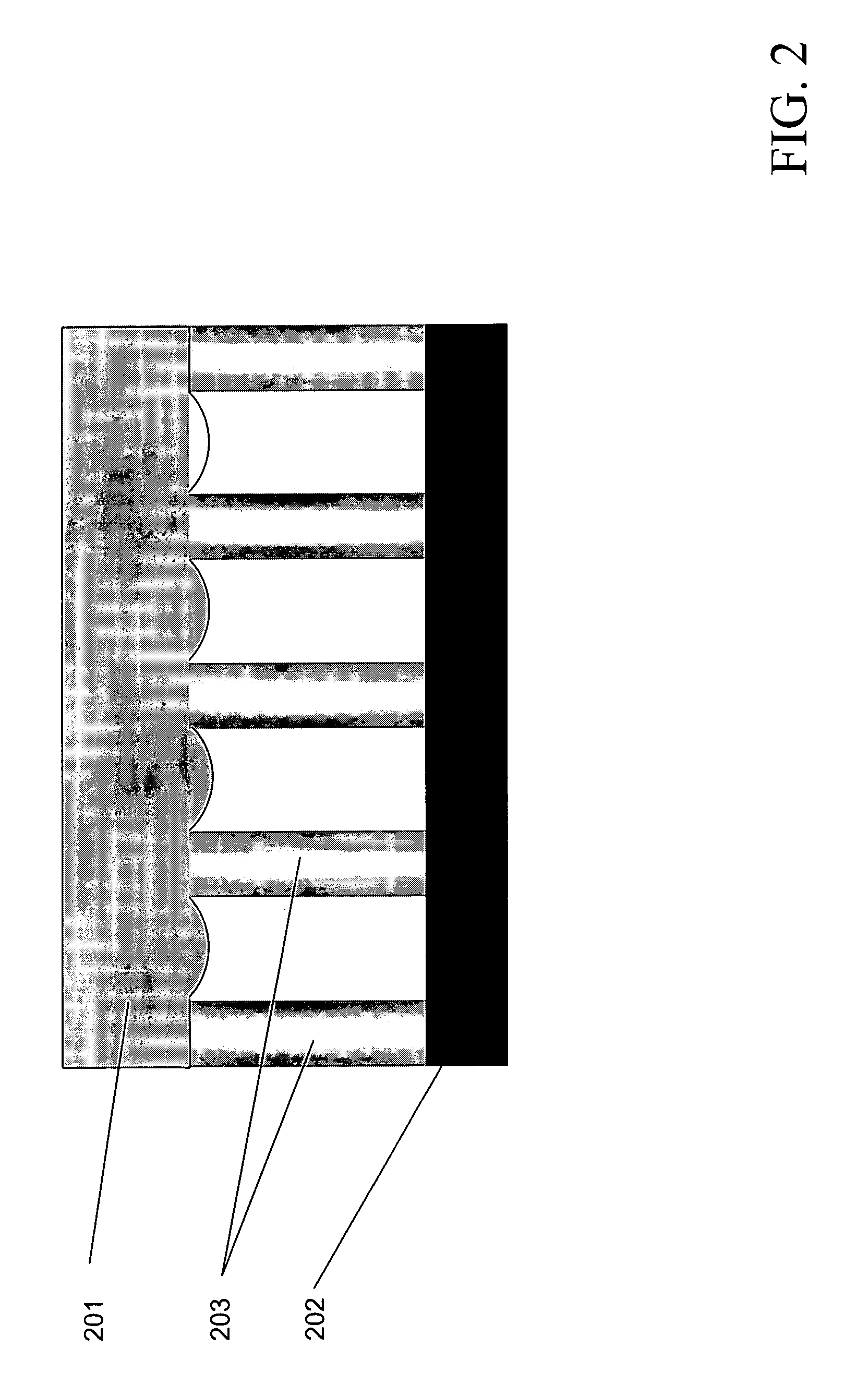 Dynamically controllable biological/chemical detectors having nanostructured surfaces