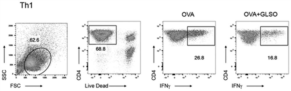 Method for evaluating immunomodulatory function of substance