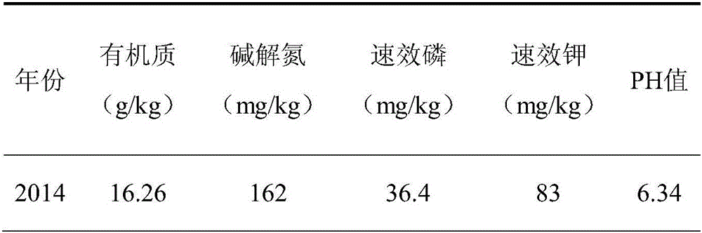 Preparation method of seaweed compound fertilizer containing saccharophilous bacillus microbial inoculum