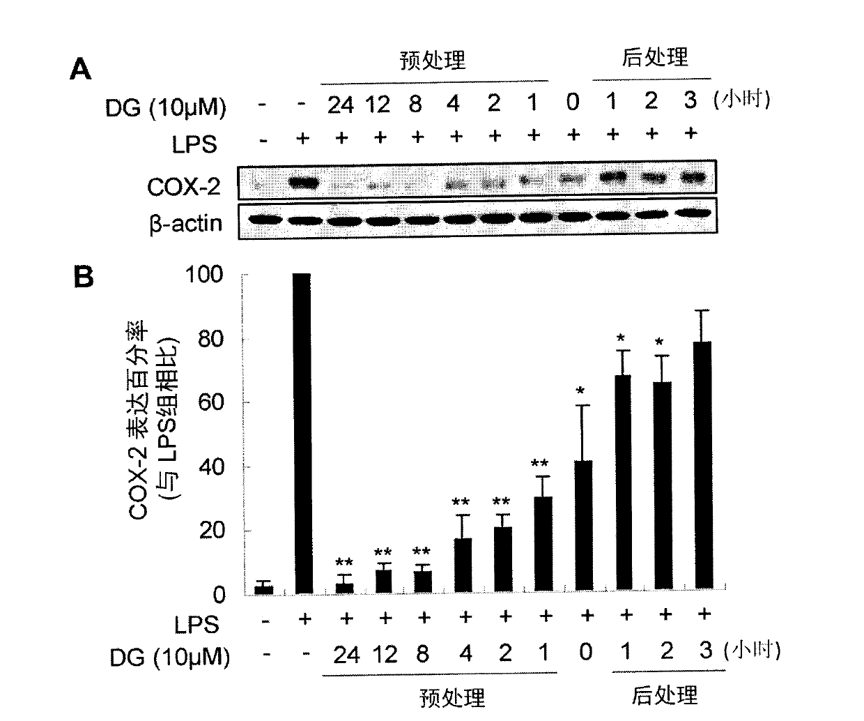 Paeoniflorin compound with inhibitory activity against abnormal expression of cyclooxygenase-2, its preparation method and application