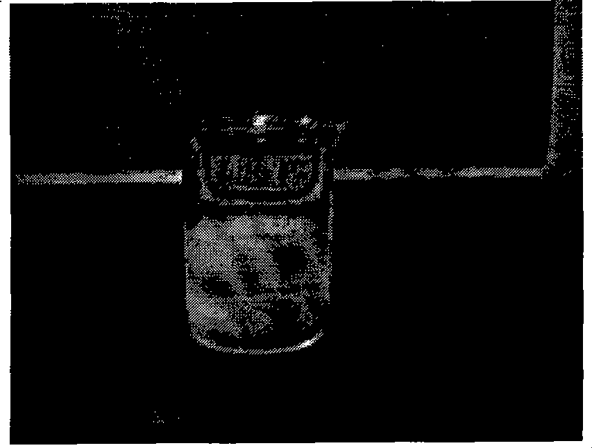 Emulsified oil for treating tinea pedis and preparation method thereof