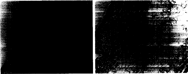 Method for preparing acellular matrix