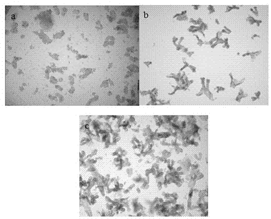 Separating liquid for recess of pig intestinal tract and separating method thereof