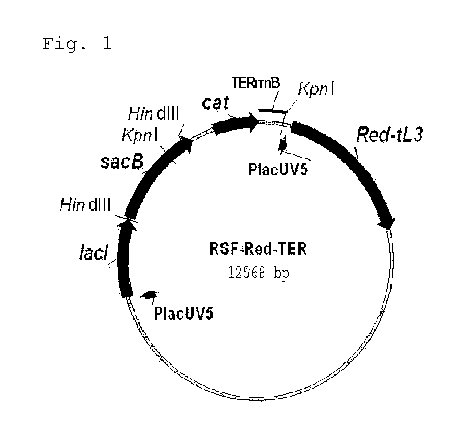 Method for producing an organic acid