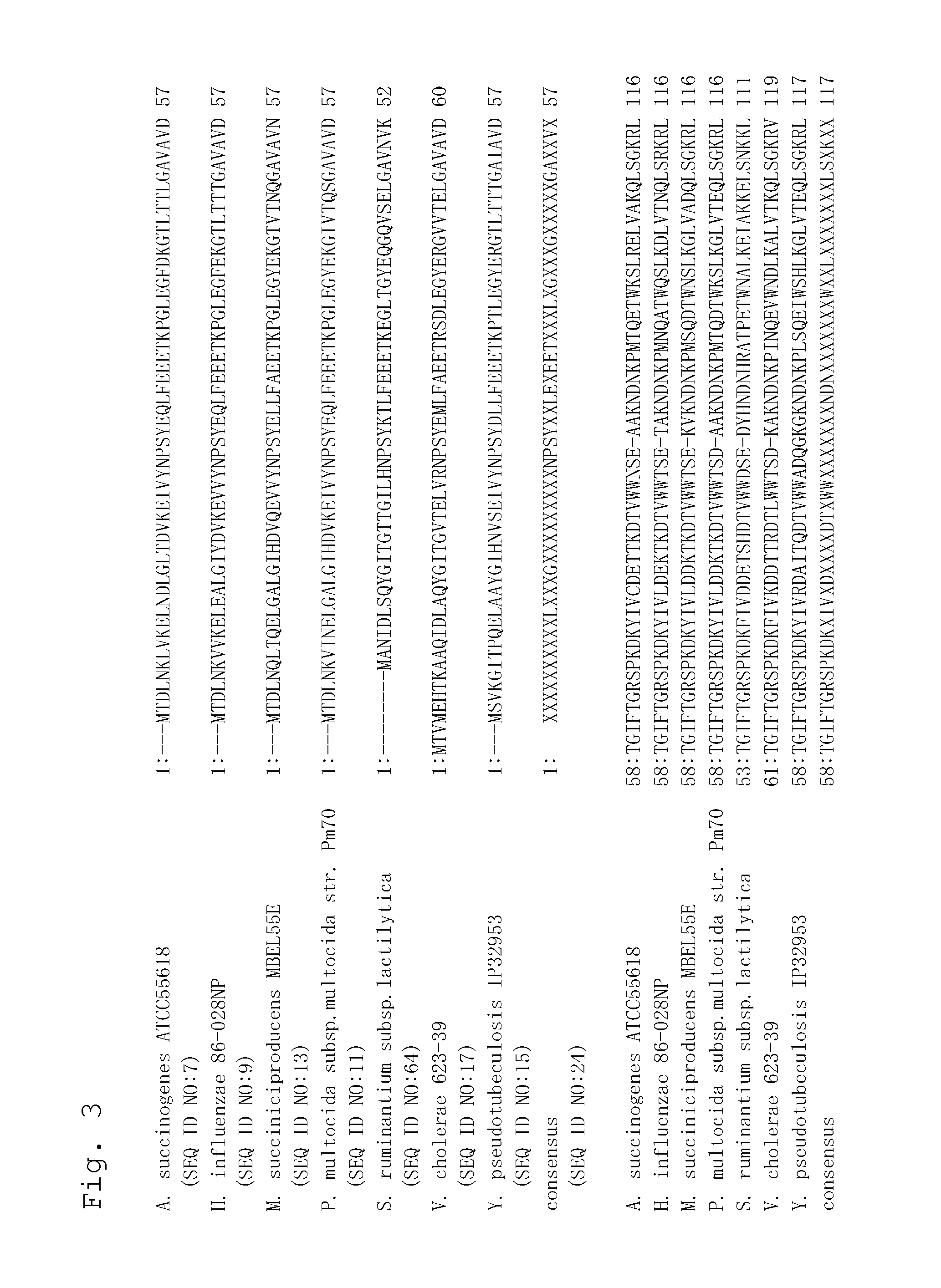 Method for producing an organic acid