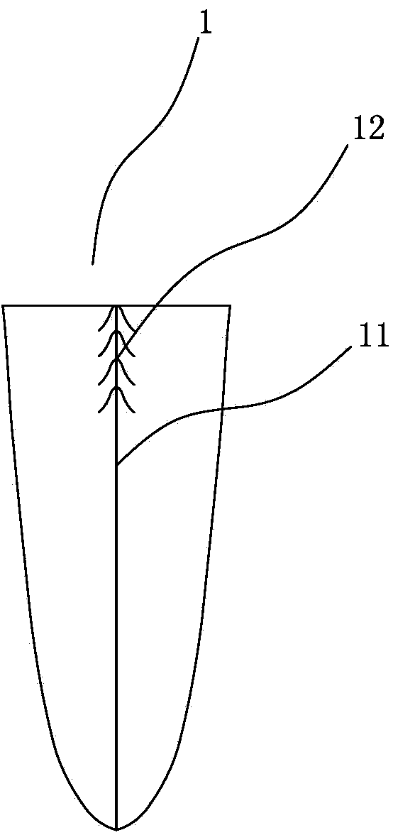 Compression fixing nail for single-tunnel double-bundle reconstruction of cruciate ligaments