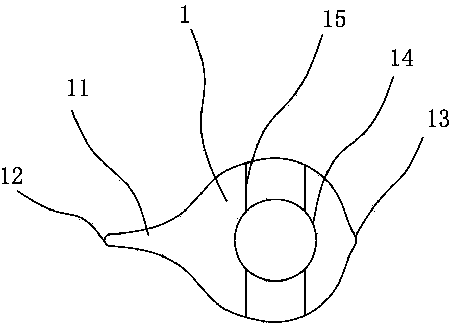 Compression fixing nail for single-tunnel double-bundle reconstruction of cruciate ligaments